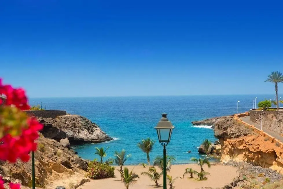Beautifull Residencial Albatros By Paramount Holidays Costa Adeje  Apartment Costa Adeje (Tenerife)
